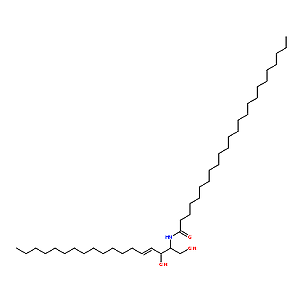 RHAWN Lignoceric ceramide