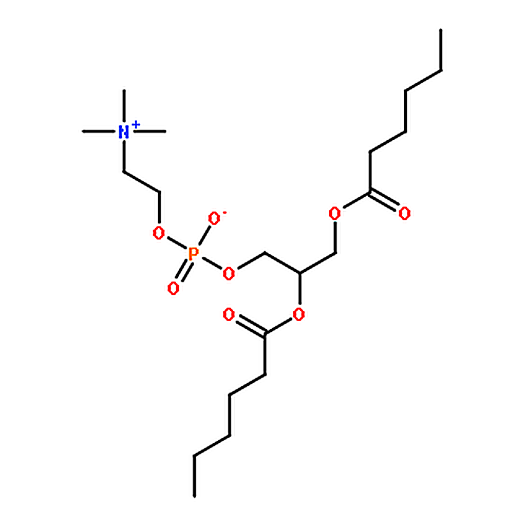 RHAWN 1,2-dihexanoyl-sn-glycero-3-phosphocholine