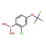 RHAWN (2-Chloro-4-(trifluoromethoxy)phenyl)boronic acid