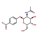 RHAWN 4-Nitrophenyl 2-acetamido-2-deoxy--D-glucopyranoside