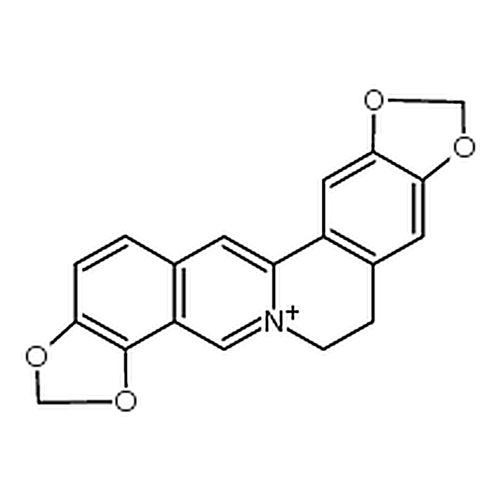 RHAWN Coptisine Sulfate