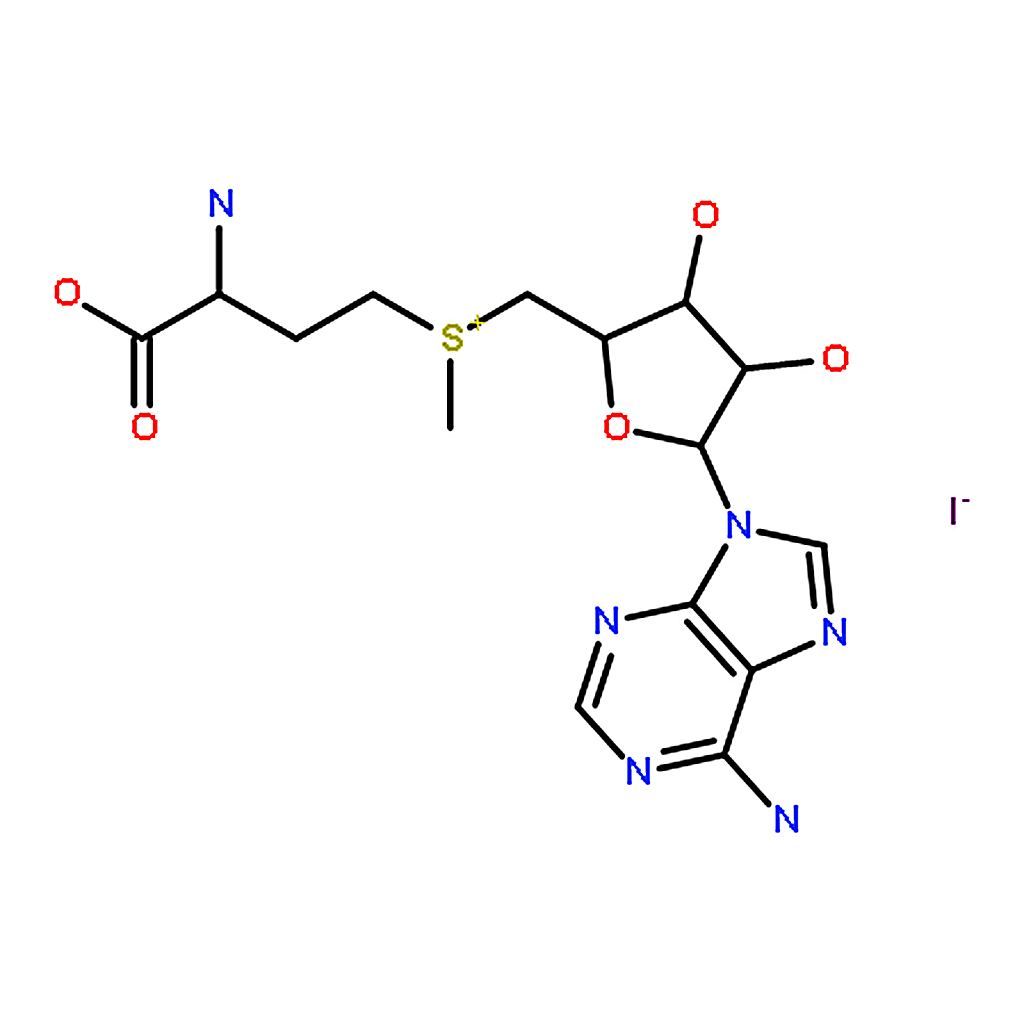 RHAWN S-(5▽-Adenosyl)-L-methionine iodide