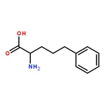 RHAWN 2-Amino-5-phenylpentanoic acid