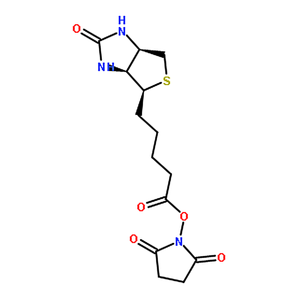RHAWN N-Succinimidyl D-Biotinate