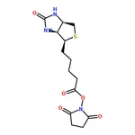 RHAWN N-Succinimidyl D-Biotinate