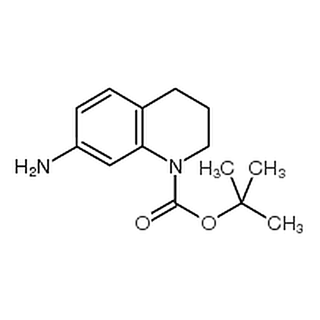 RHAWN tert-Butyl 7-amino-3，4-dihydroquinoline-1(2H)-carboxylate