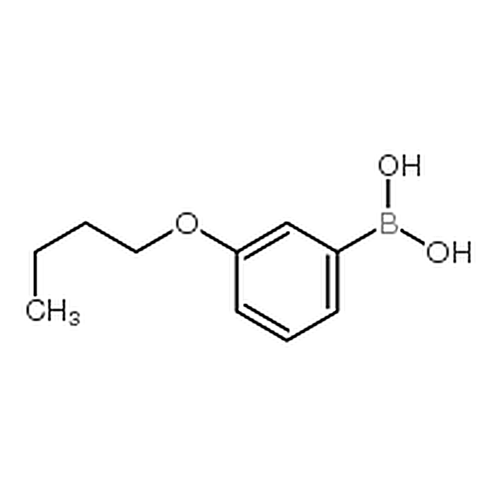 RHAWN 3-Butoxyphenylboronic acid