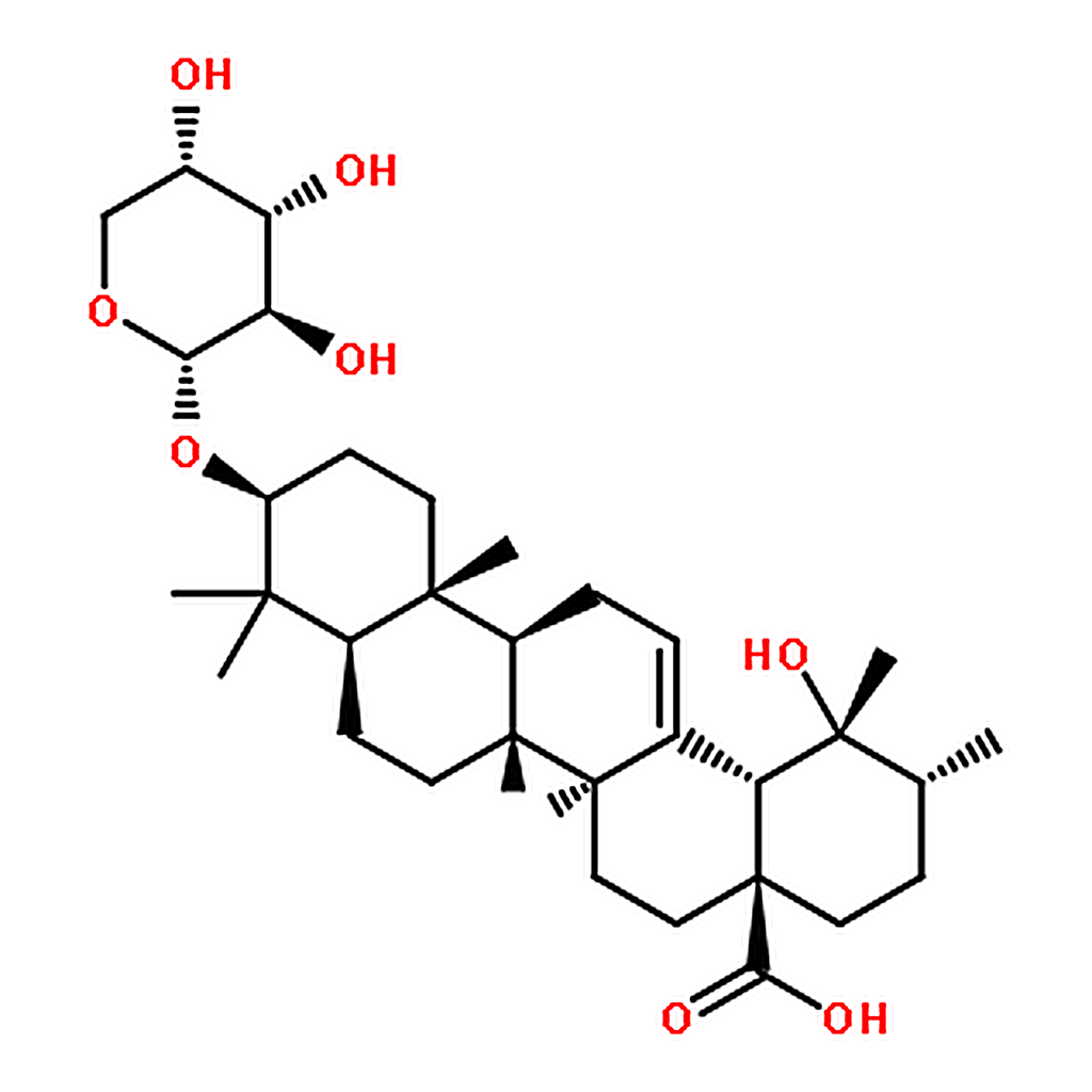 RHAWN Ziyuglycoside II