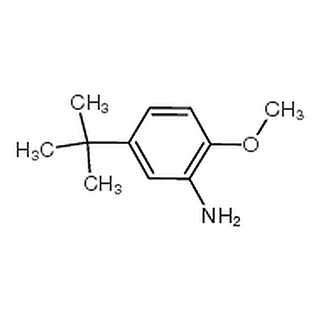 RHAWN 5-<I>tert</I>-Butyl-<I>o</I>-anisidine