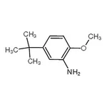 RHAWN 5-<I>tert</I>-Butyl-<I>o</I>-anisidine