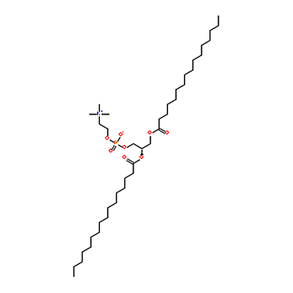 RHAWN 2，3-Dipalmitoyl-sn-glycero-1-phosphocholine