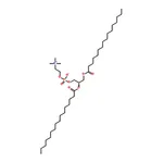 RHAWN 2,3-Dipalmitoyl-sn-glycero-1-phosphocholine