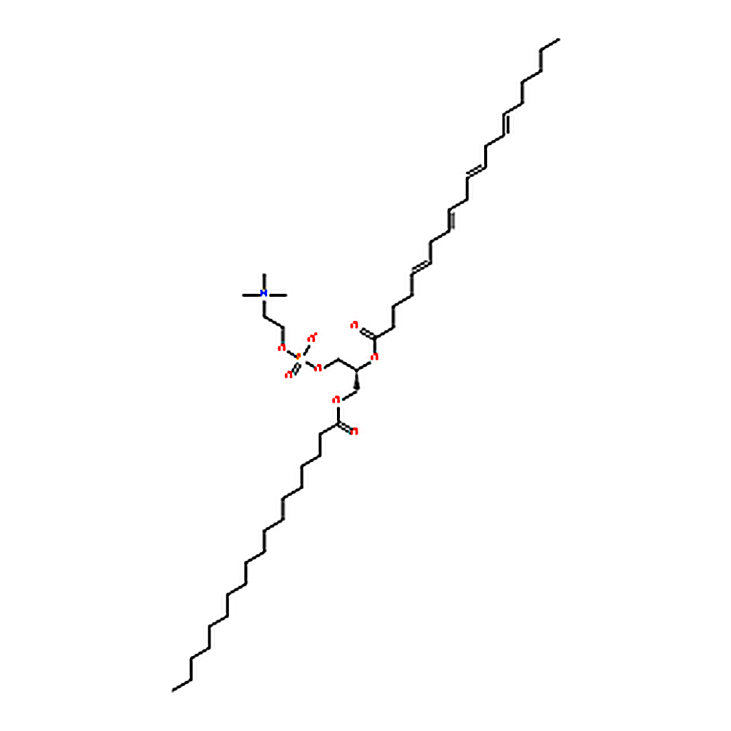 RHAWN 2-Arachidonoyl-1-stearoyl-sn-glycero-3-phosphocholine solution