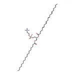 RHAWN 2-Arachidonoyl-1-stearoyl-sn-glycero-3-phosphocholine solution