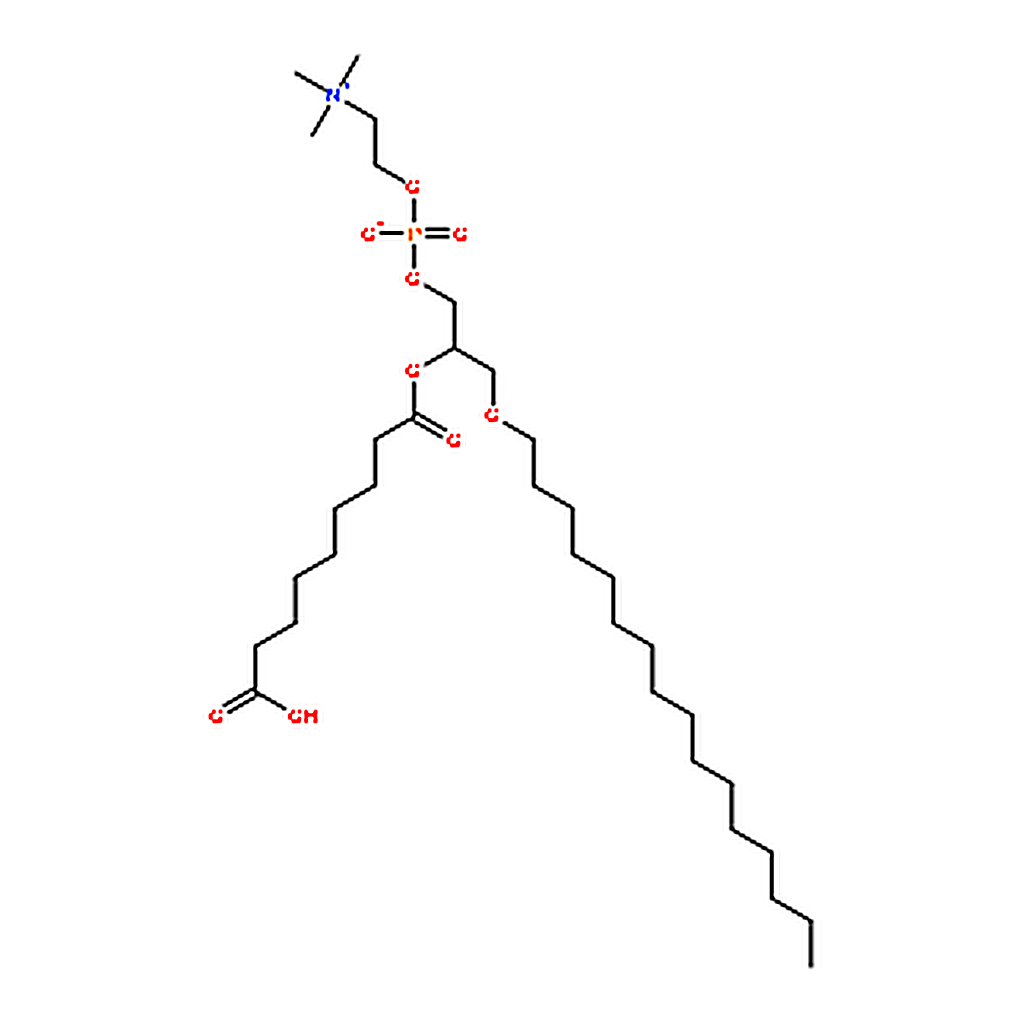 RHAWN 1-hexadecyl-2-azelaoyl-sn-glycero-3-phosphocholine