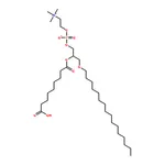 RHAWN 1-hexadecyl-2-azelaoyl-sn-glycero-3-phosphocholine