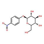 RHAWN p-Nitrophenyl -D-Mannopyranoside