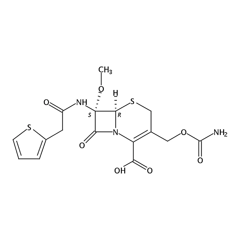 RHAWN cefoxitin