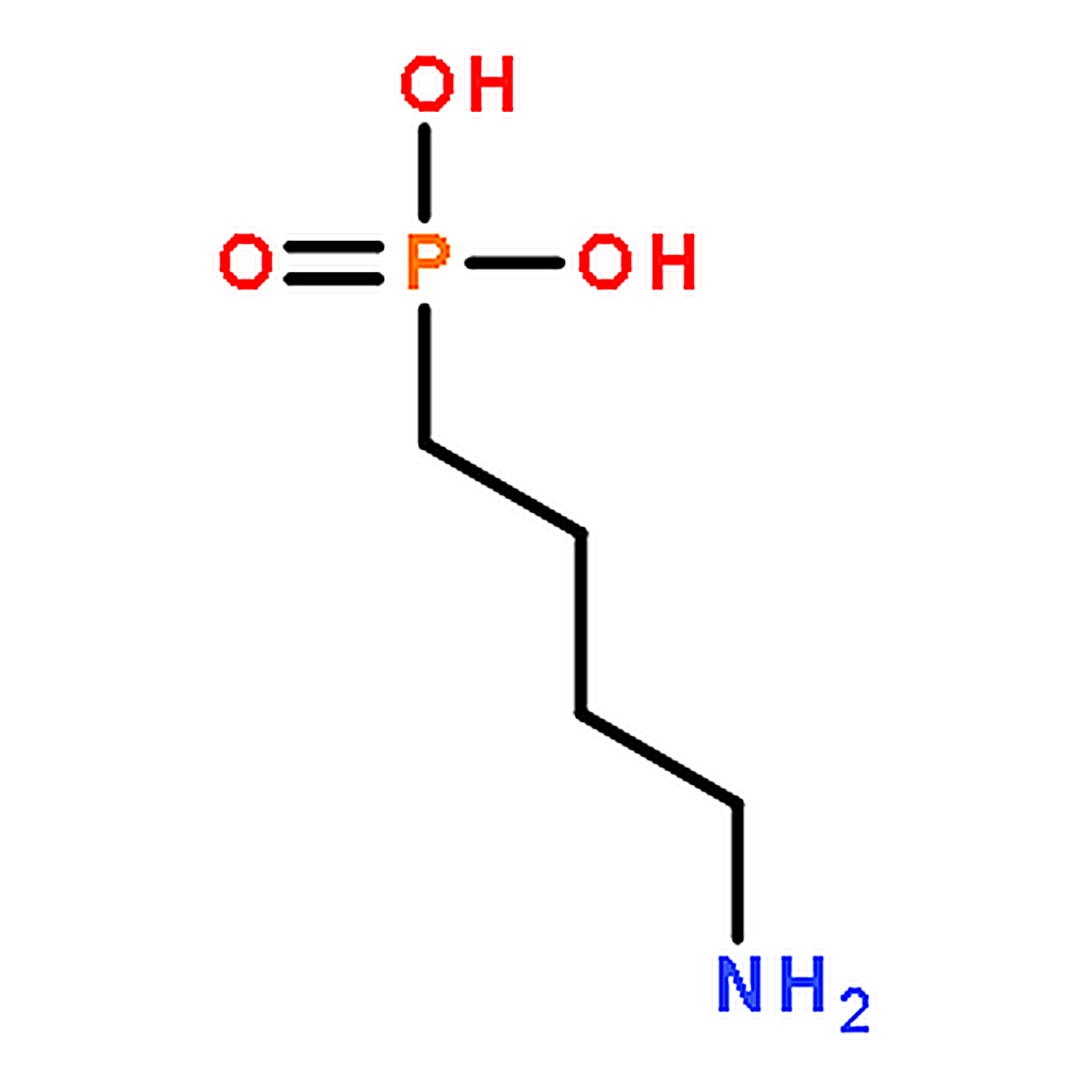 RHAWN (4-Aminobutyl)phosphonic acid
