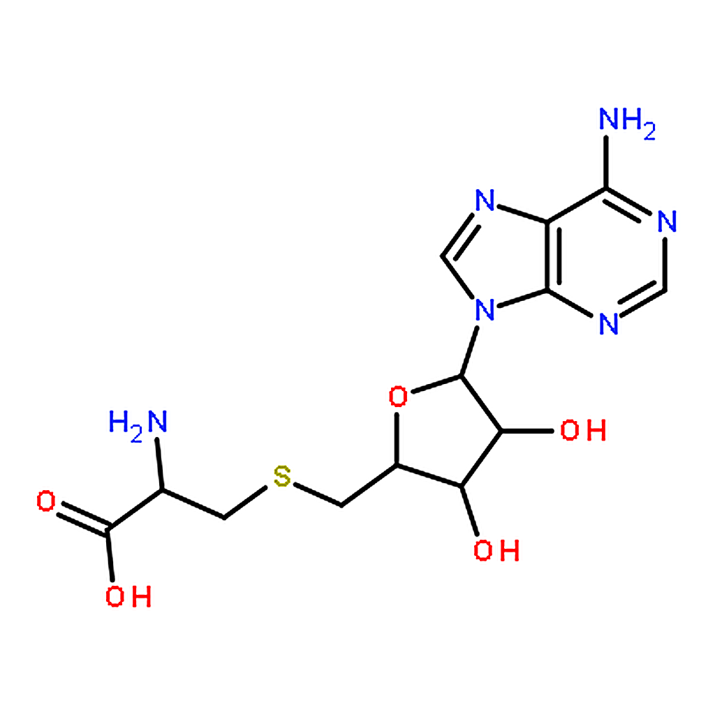 RHAWN S-(5▽-Adenosyl)-L-cysteine