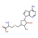 RHAWN S-(5▽-Adenosyl)-L-cysteine