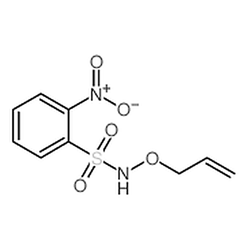 RHAWN N-(Allyloxy)-2-nitrobenzenesulfonamide