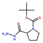 RHAWN tert-Butyl 2-(hydrazinecarbonyl)pyrrolidine-1-carboxylate