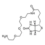 RHAWN N-BIOTINYL-3,6,9-TRIOXAUNDECANE-1,11-DIAMINE