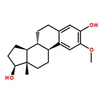 RHAWN 2-Methoxyestradiol
