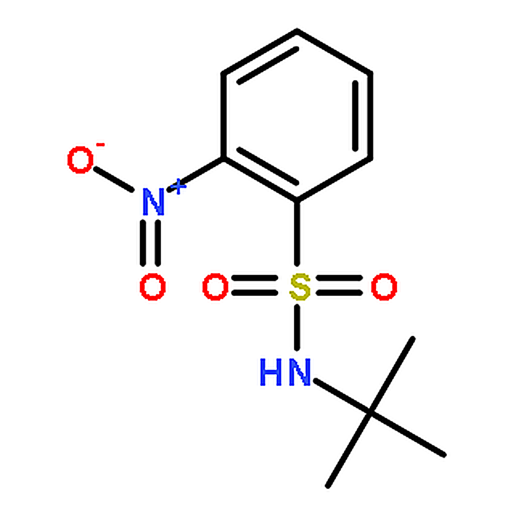 RHAWN N-(tert-Butyl)-2-nitrobenzenesulfonamide