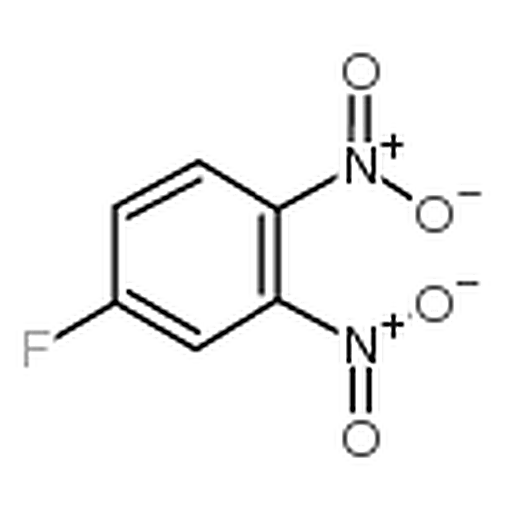 RHAWN 4-Fluoro-1,2-dinitrobenzene