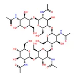 RHAWN N,N',N'',N''',N''''-Pentaacetylchitopentaose
