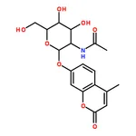 RHAWN 4-Methylumbelliferyl 2-Acetamido-2-deoxy--D-galactopyranoside