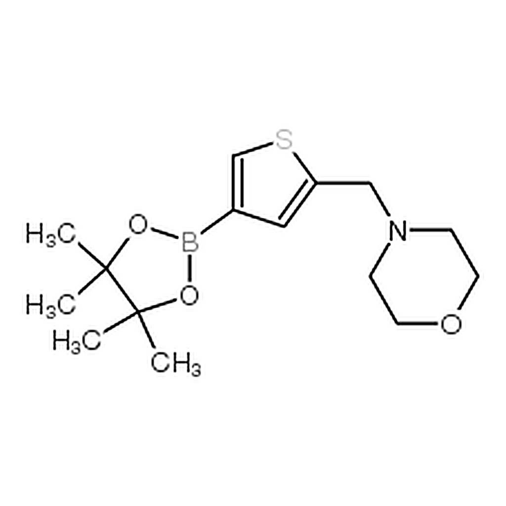 RHAWN 4-((4-(4,4,5,5-Tetramethyl-1,3,2-dioxaborolan-2-yl)thiophen-2-yl)methyl)morpholine