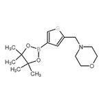 RHAWN 4-((4-(4,4,5,5-Tetramethyl-1,3,2-dioxaborolan-2-yl)thiophen-2-yl)methyl)morpholine