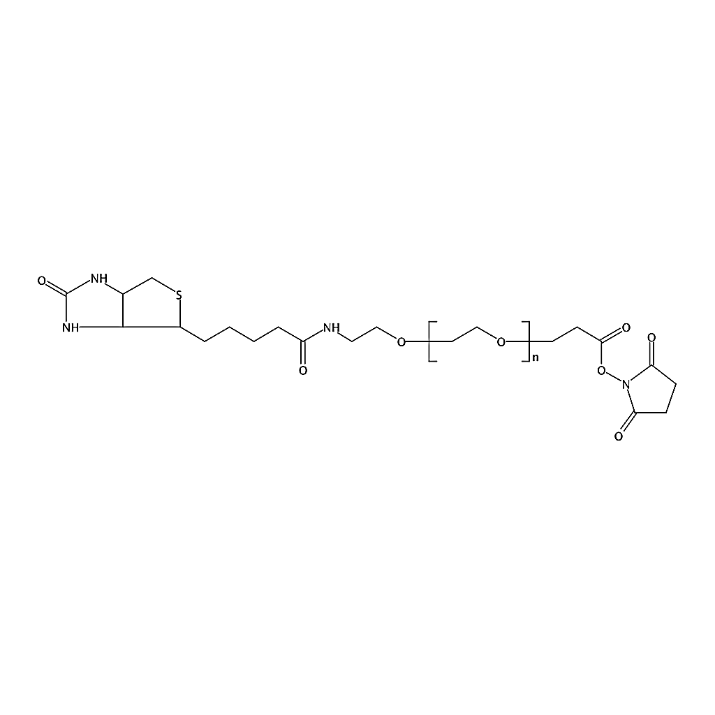 RHAWN (+)-Biotin-PEG24-NHS Ester