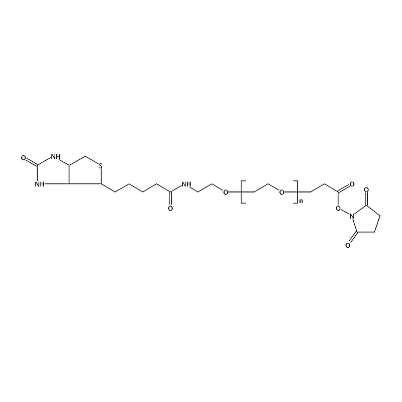 RHAWN (+)-Biotin-PEG24-NHS Ester