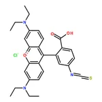 RHAWN Rhodamine B isothiocyanate