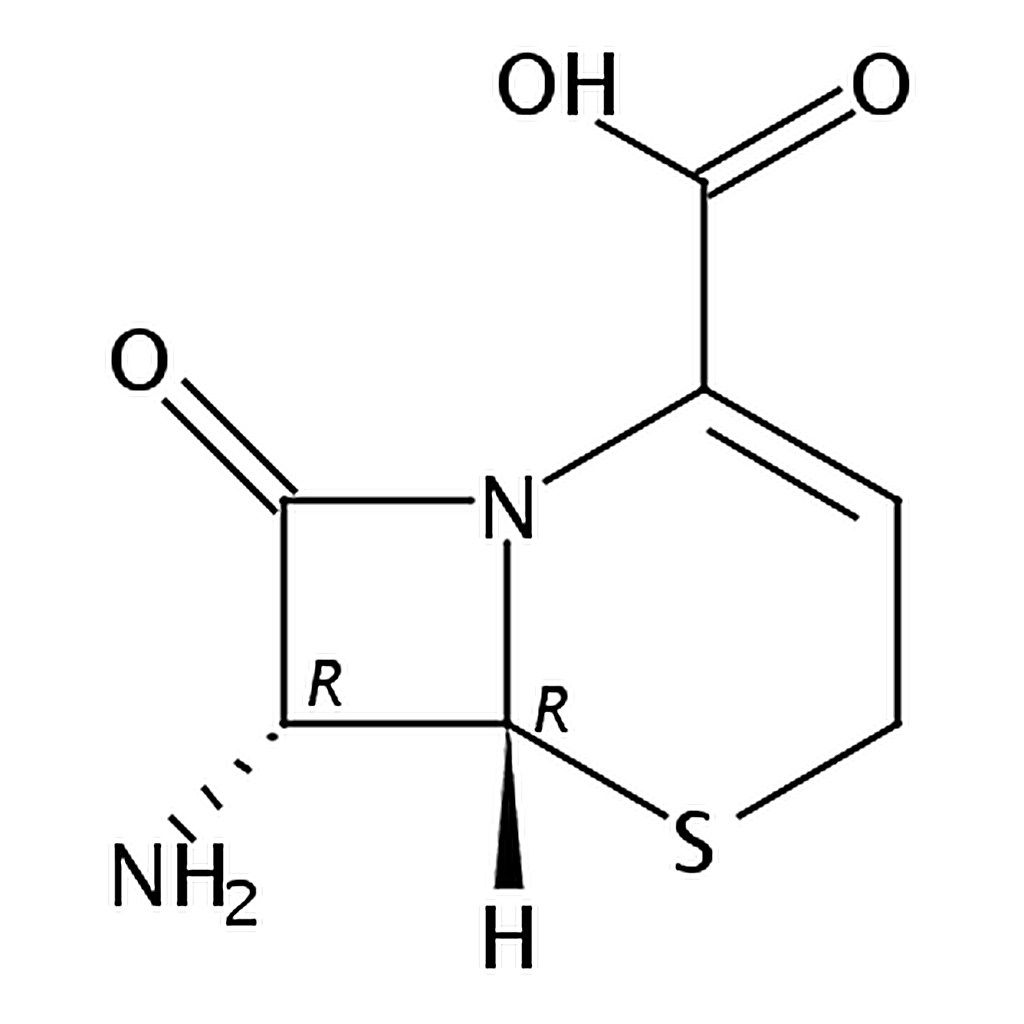 RHAWN 7-Amino-3-Cephem-4-Carboxylic Acid