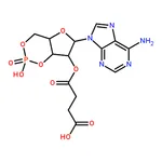RHAWN 2▽-O-Monosuccinyladenosine 3▽:5▽-cyclic monophosphate