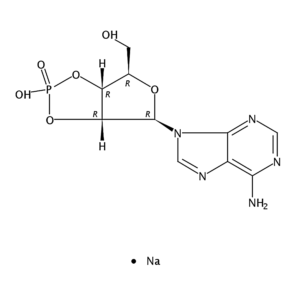 RHAWN Adenosine 2▽:3▽-cyclic monophosphate sodium salt