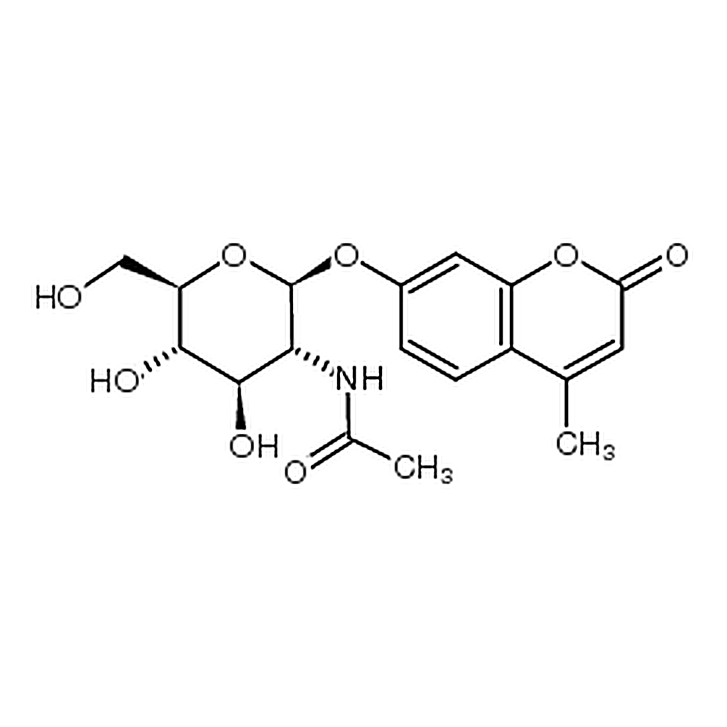 RHAWN 4-Methylumbelliferyl-2-acetamido-2-deoxy--D-glucopyranoside