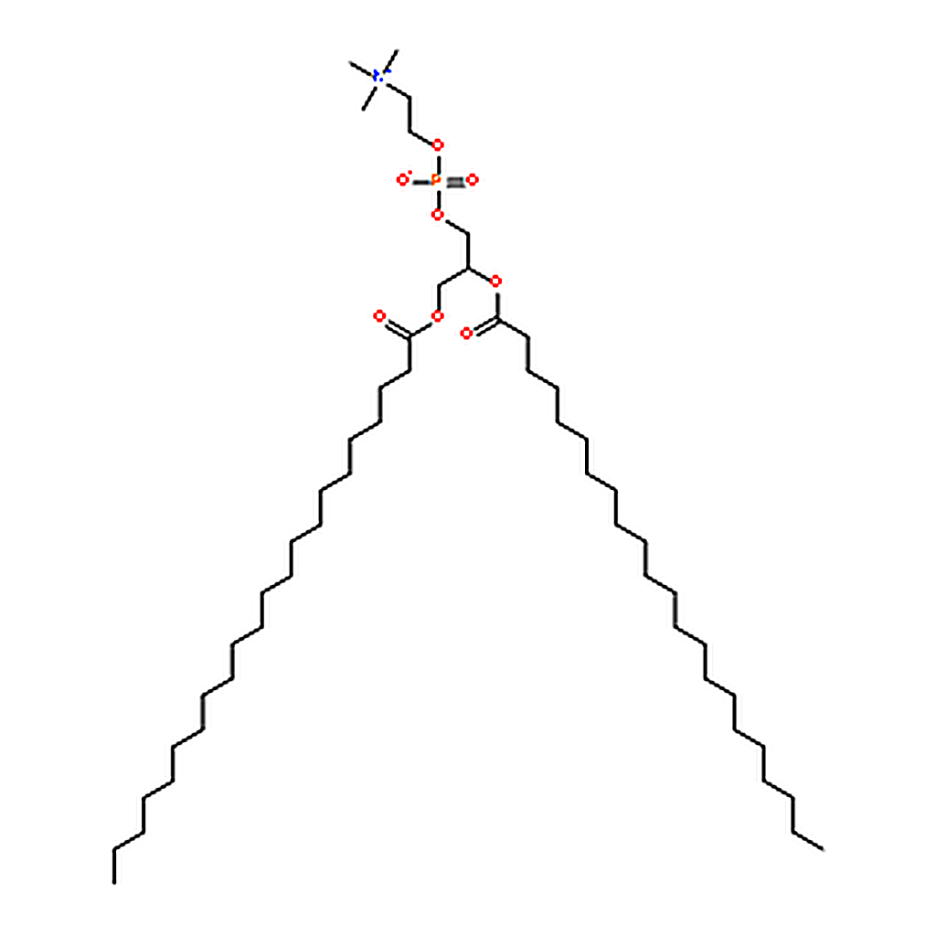 RHAWN 1,2-dibehenoyl-sn-glycero-3-phosphocholine