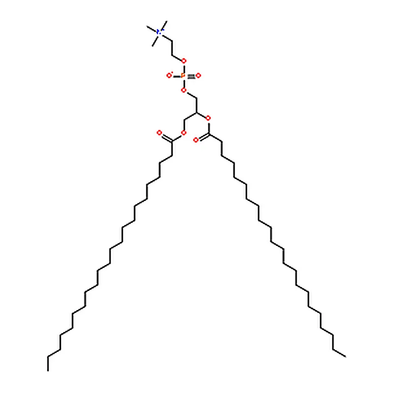 RHAWN 1,2-dibehenoyl-sn-glycero-3-phosphocholine