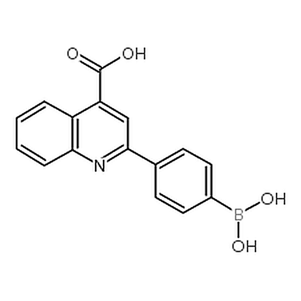 RHAWN 2-(4-Boronophenyl)quinoline-4-carboxylic acid