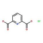 RHAWN 2,6-Pyridinedicarbonyl chloride