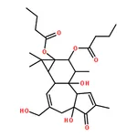 RHAWN Phorbol 12,13-dibutyrate