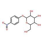 RHAWN 4-Nitrophenyl-alpha-D-glucopyranoside