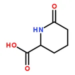 RHAWN 6-Oxo-piperidine-2-carboxylic acid