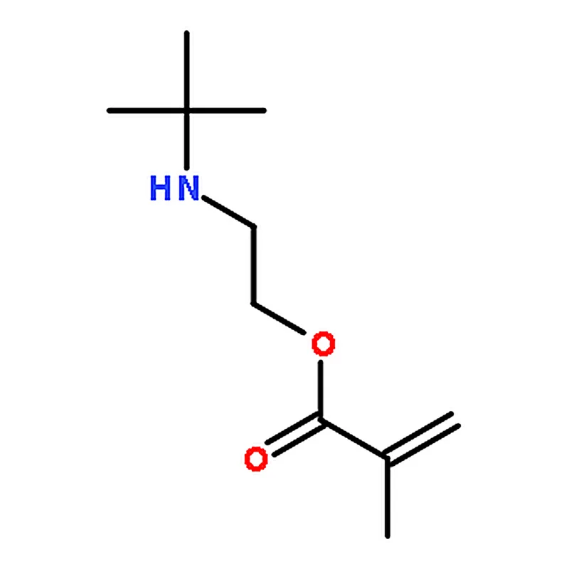 RHAWN 2-(tert-Butylamino)ethyl Methacrylate